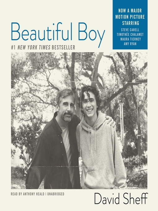Title details for Beautiful Boy by David Sheff - Wait list